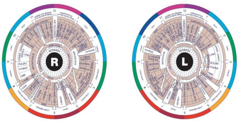 Iridology Course