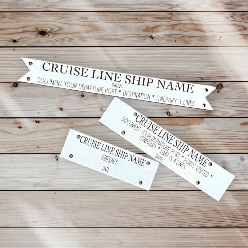 Cruise Ship Cabin Door Decor/ Wall Hanging Cruise History BOARD ATTACHMENT ONLY