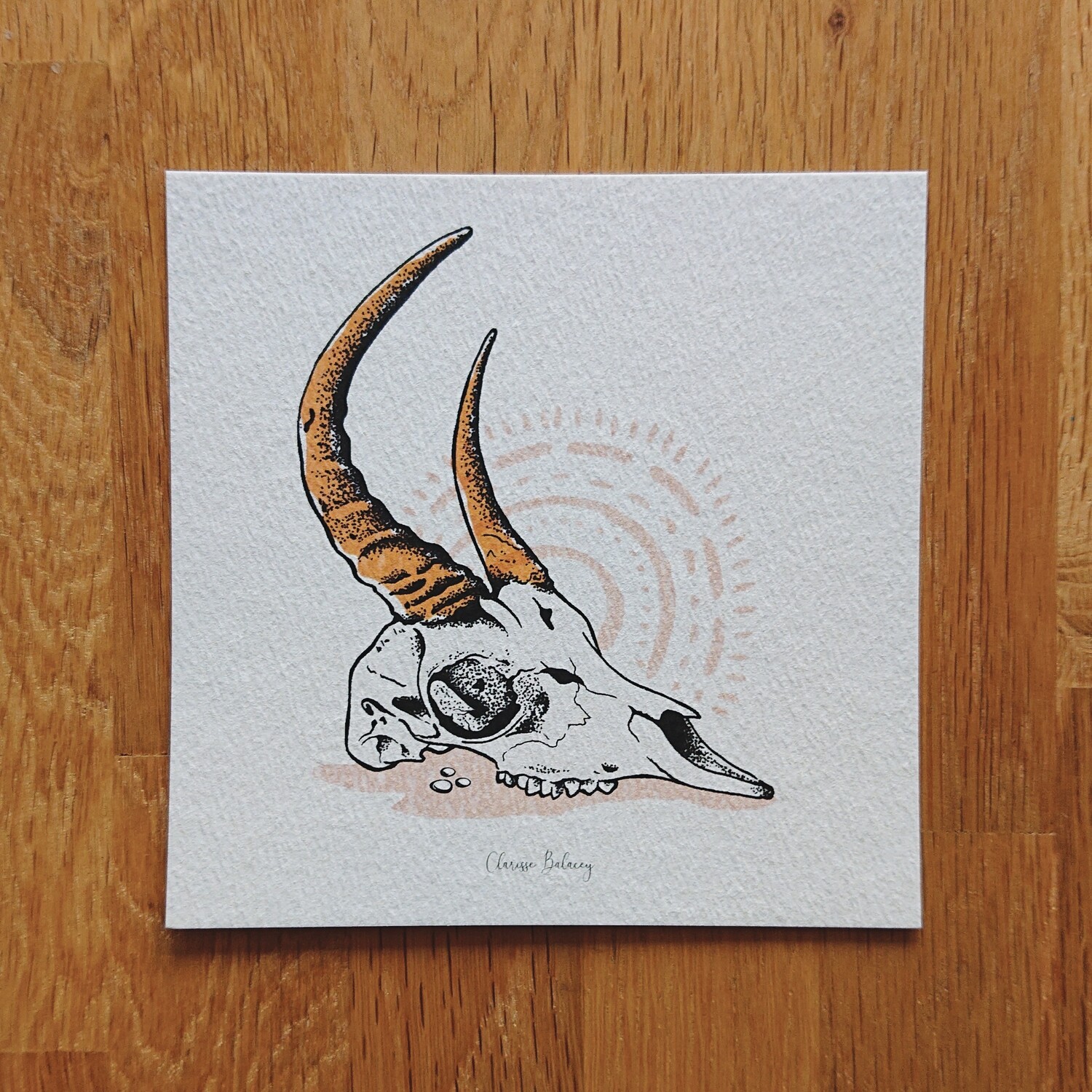 Skull