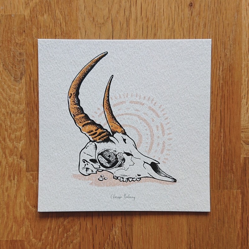 Skull