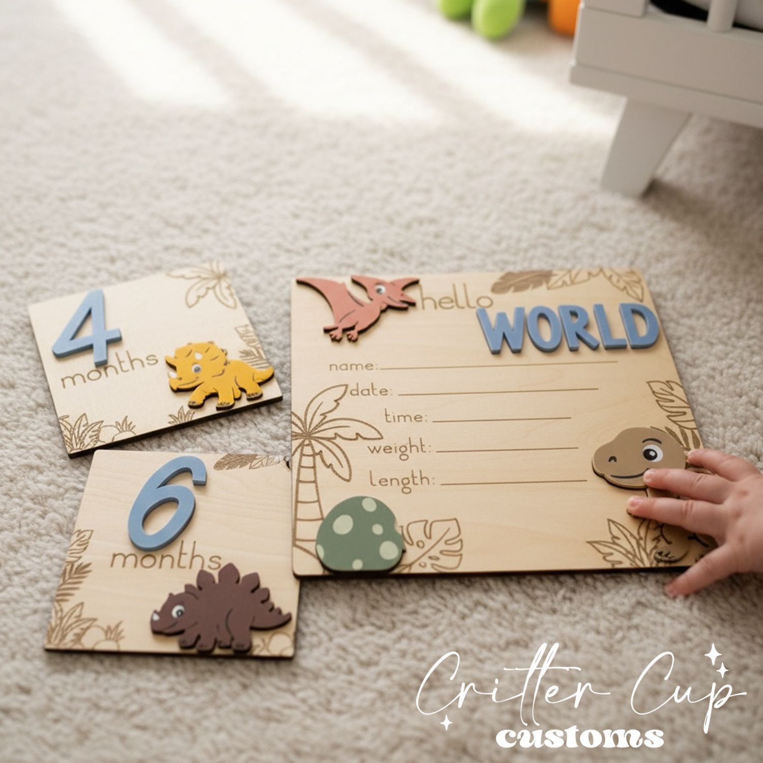 Dinosaur Milestone Disc