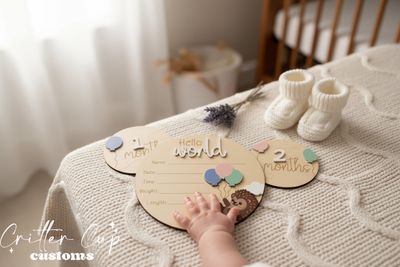 Hedgehog Baby Milestone Disc