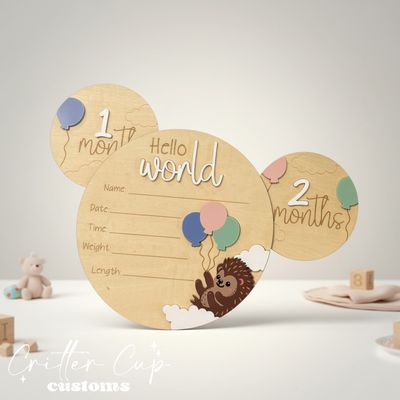 Hedgehog Baby Milestone Disc
