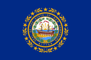 New Hampshire Insurance Agent List
