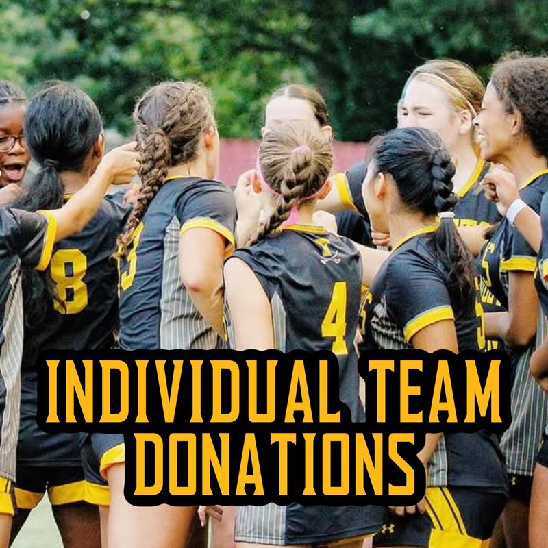 Individual Team Donations