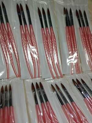 Set de pinceles Pluma x 3u