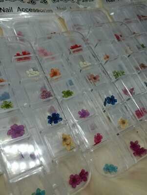 Flores Secas (Caja)