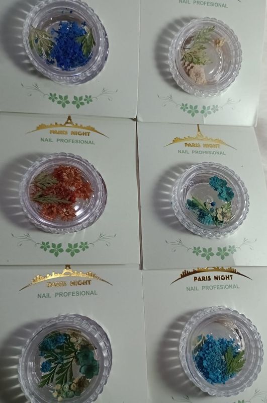 Deco de Flores disecadas de Paris Night