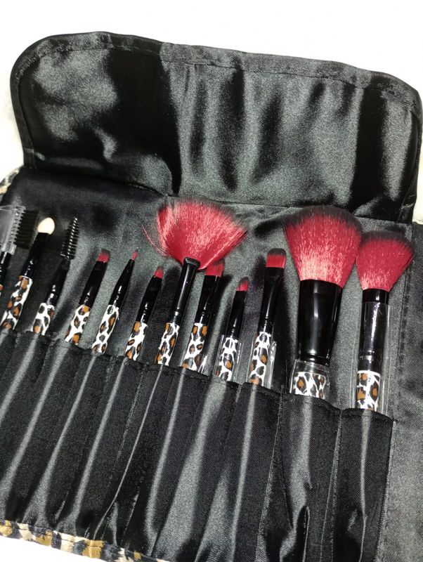 Set de Brochas x12 con Estuches