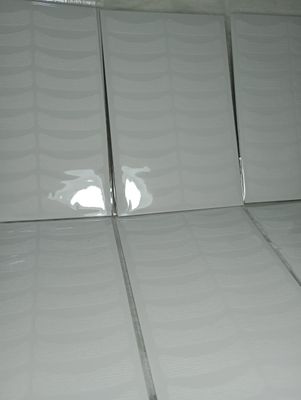 Parche para pestañas