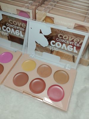 Paleta de correctores PINK 21