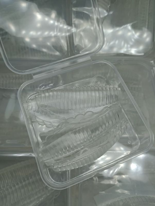 Bigudies Anatomicos Grandes