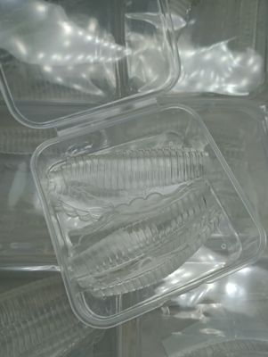 Bigudies Anatomicos Grandes