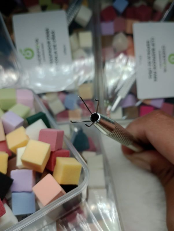 Esponjita y Garrita de Cherimoya