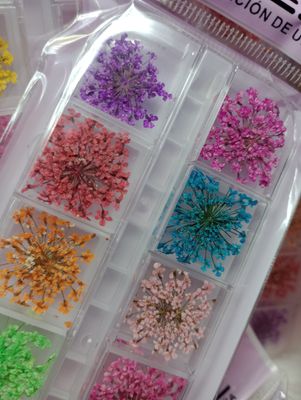 Deco Flores para Encapsular de Naez