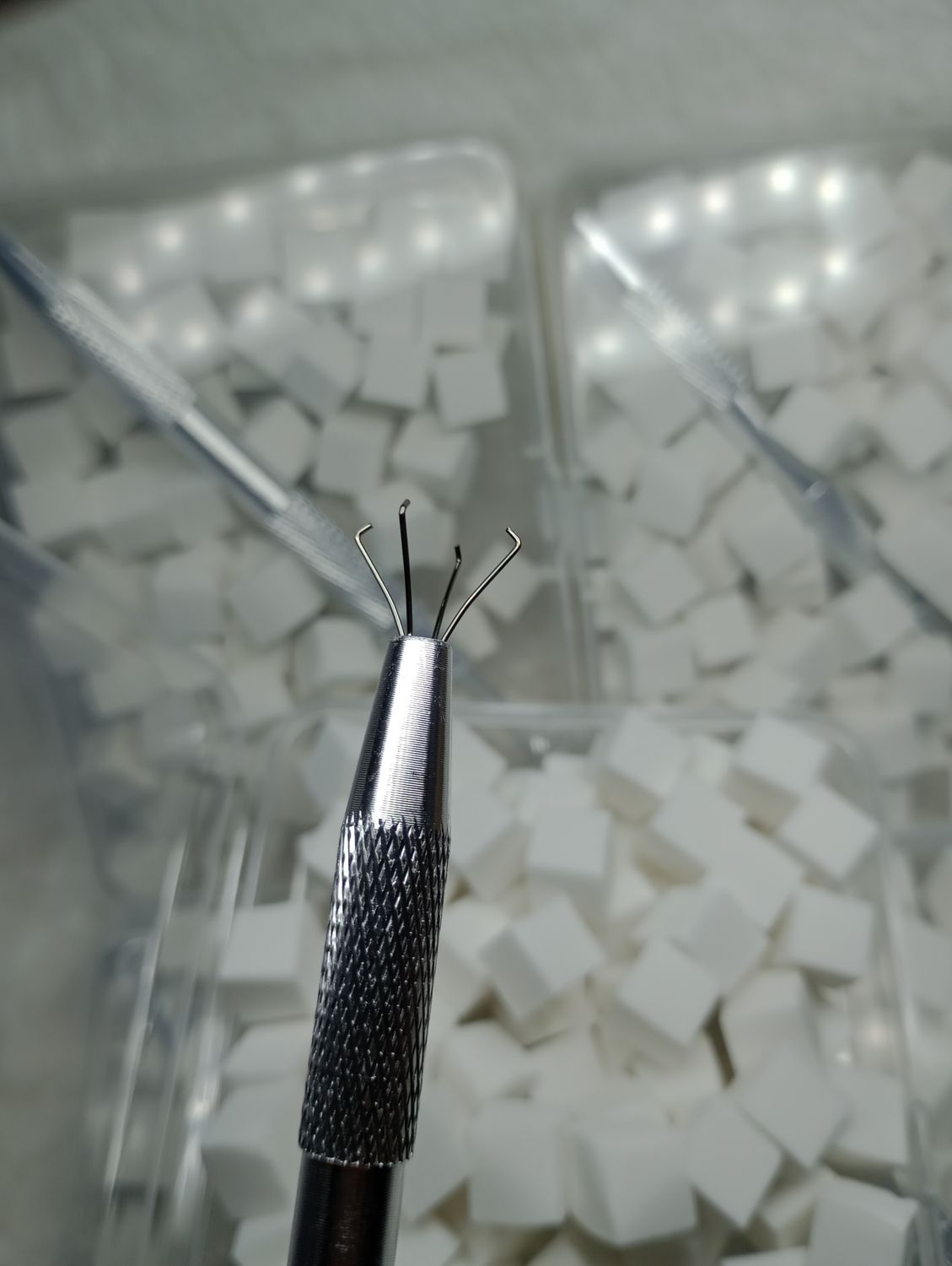 Pinza Garrita + Esponjitas