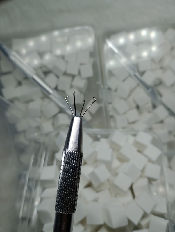 Pinza Garrita + Esponjitas