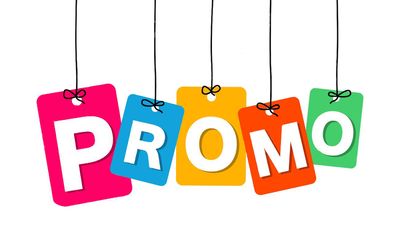 ARTICLES EN PROMOTION