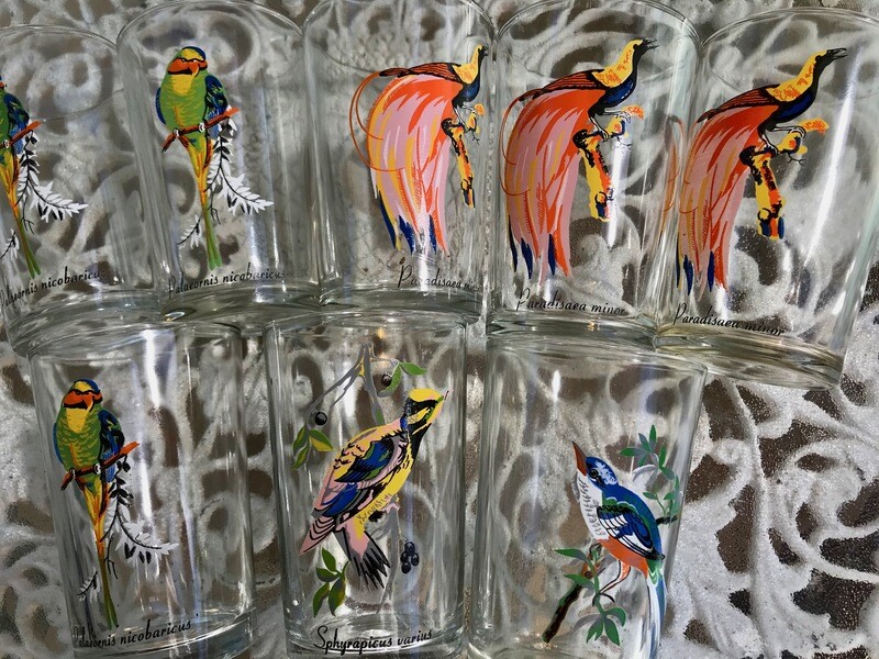 Vintage Exotic Tropical Birds 1960s assorted. set of 8
