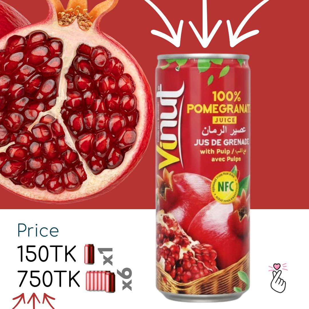 100% Vinut Juice Can 230ml (Vietnam) - Pomegranate