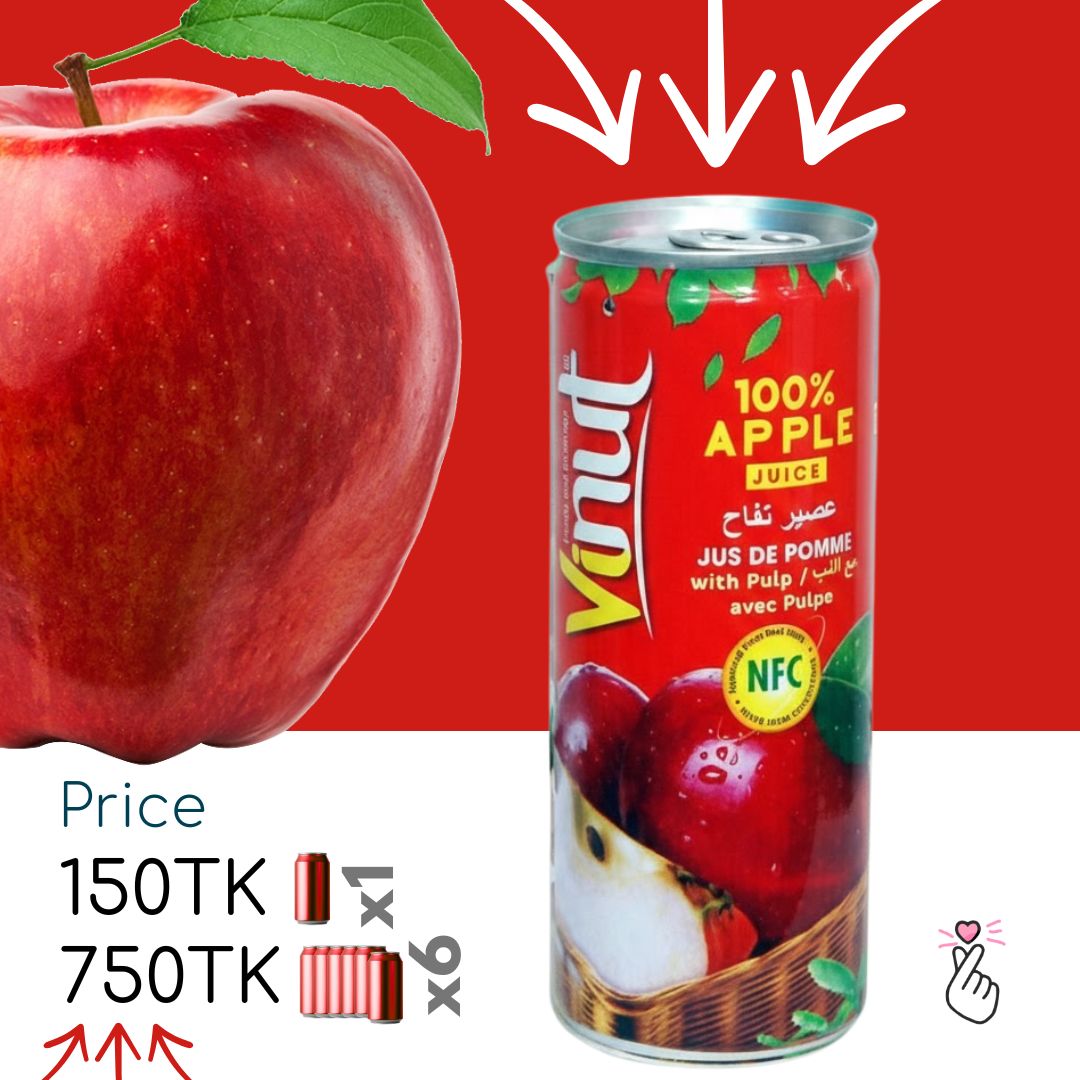 100% Vinut Juice Can 230ml (Vietnam) - Apple