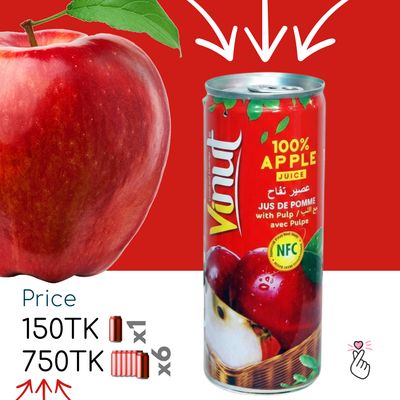 100% Vinut Juice Can 230ml (Vietnam) - Apple