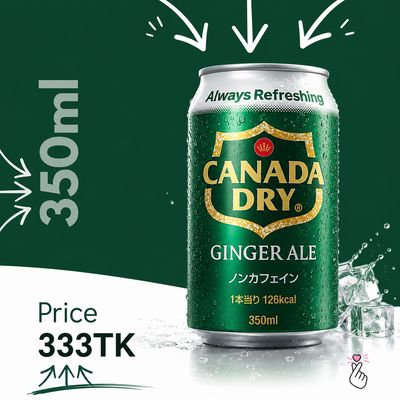 Canada Dry Ginger Ale 350ml Can - Japan