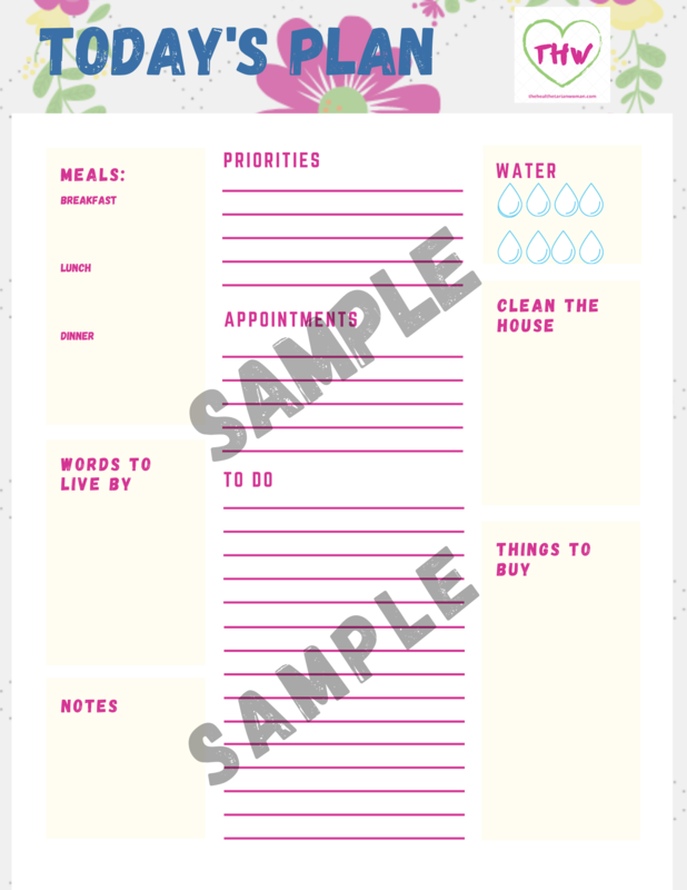 Today's Plan Daily Planner Organization Printable Sheet Today's Plan Daily Planner Organization Printable Sheet
