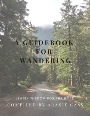 A Guidebook for Wandering