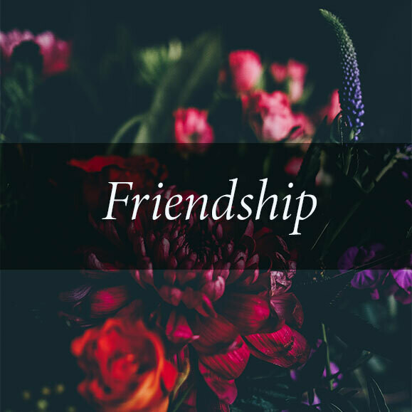 Friendship Reading