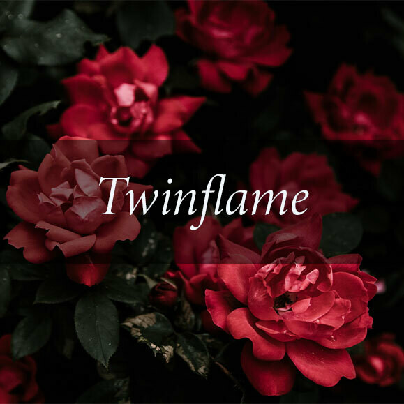 Twin Flame Journey Reading