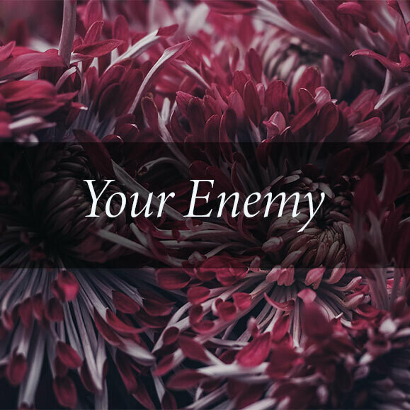Who Is My Enemy Reading