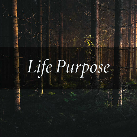 Life Purpose Reading