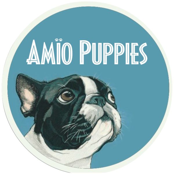 Amïo Puppies