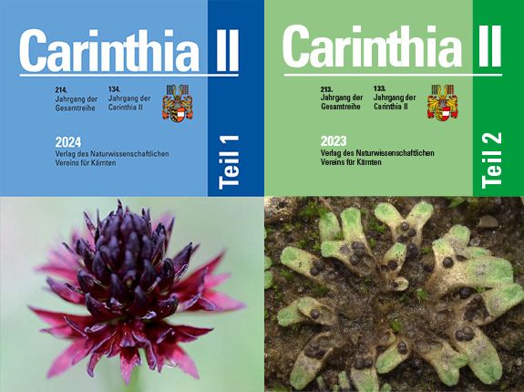 Carinthia II