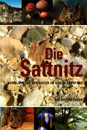 Die Sattnitz – Konglomerat der Natur im Süden Kärntens