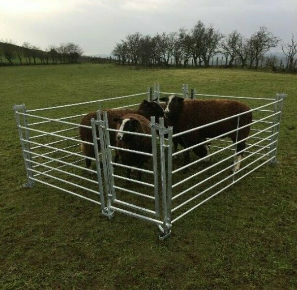 Premium Walkthrough Sheep Pen Set