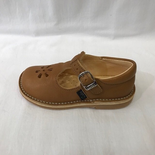 Dingo Camel Aster