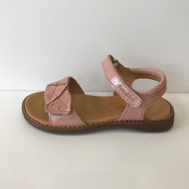3150227 Rose Froddo