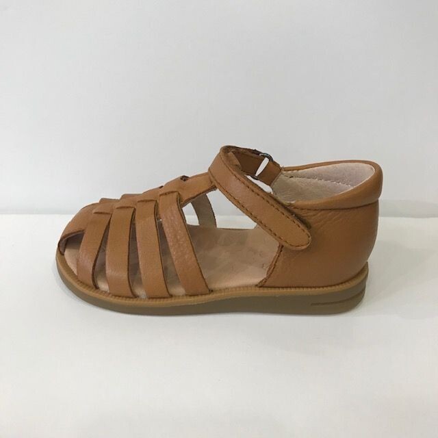 1310 Cognac Acebos