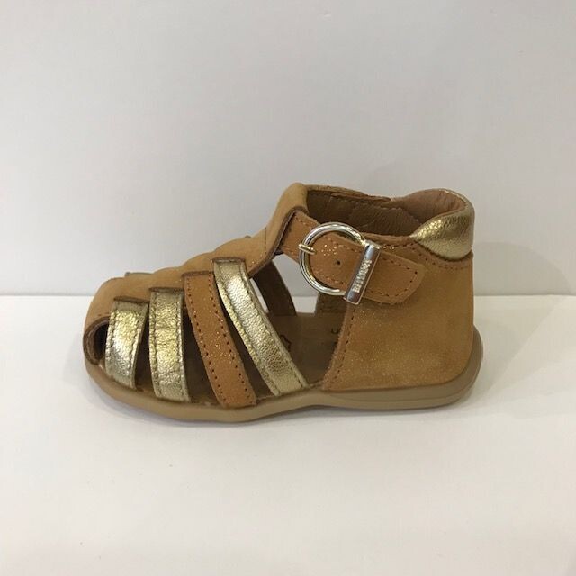 Dax Camel/Doré Bellamy