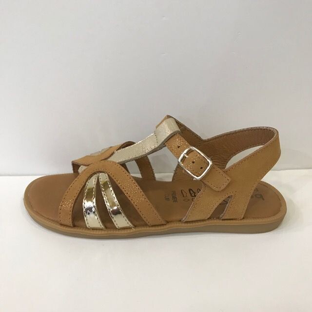 Eden Camel/Doré Bellamy