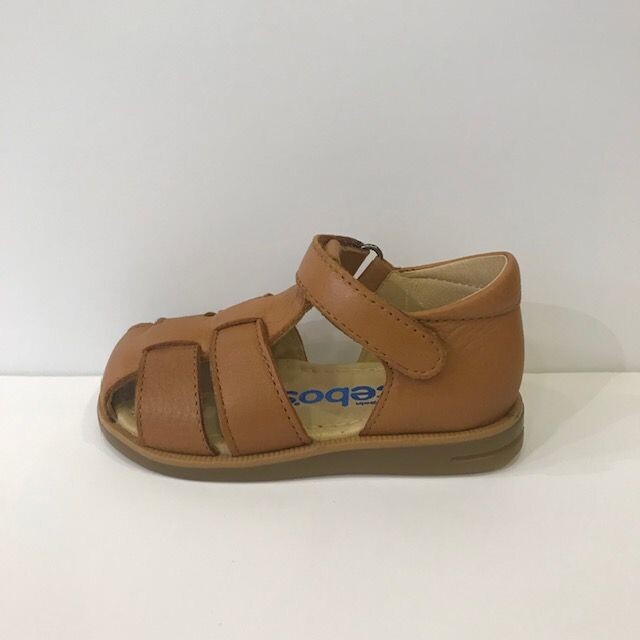 1235 Cognac Acebos