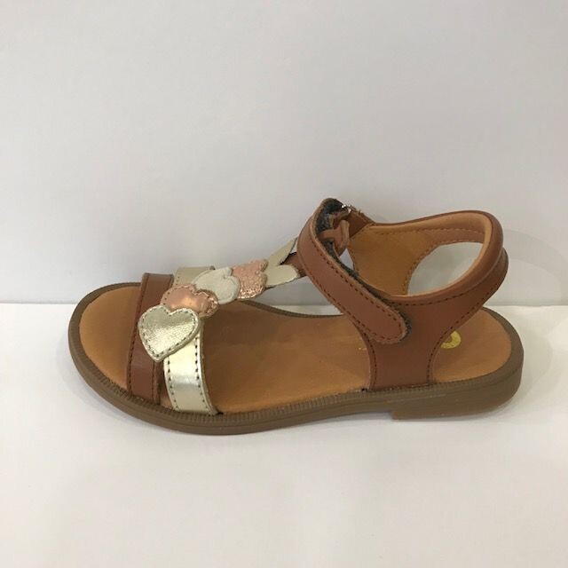 Maisie Camel/Coeurs Doré GBB