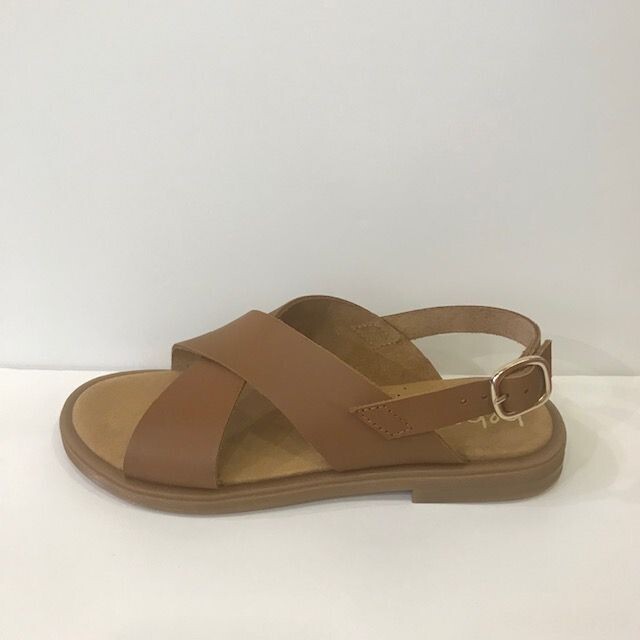 23762 Camel Beberlis