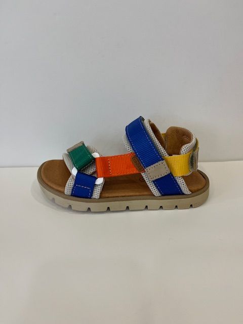 3150259 Multi Froddo