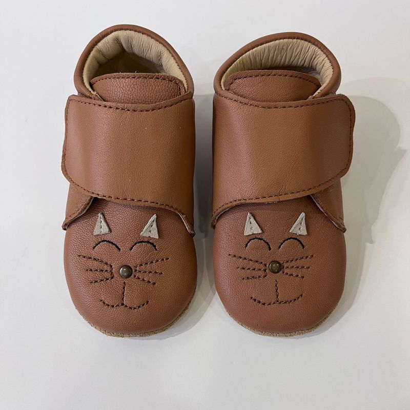 Chat Camel Bellamy