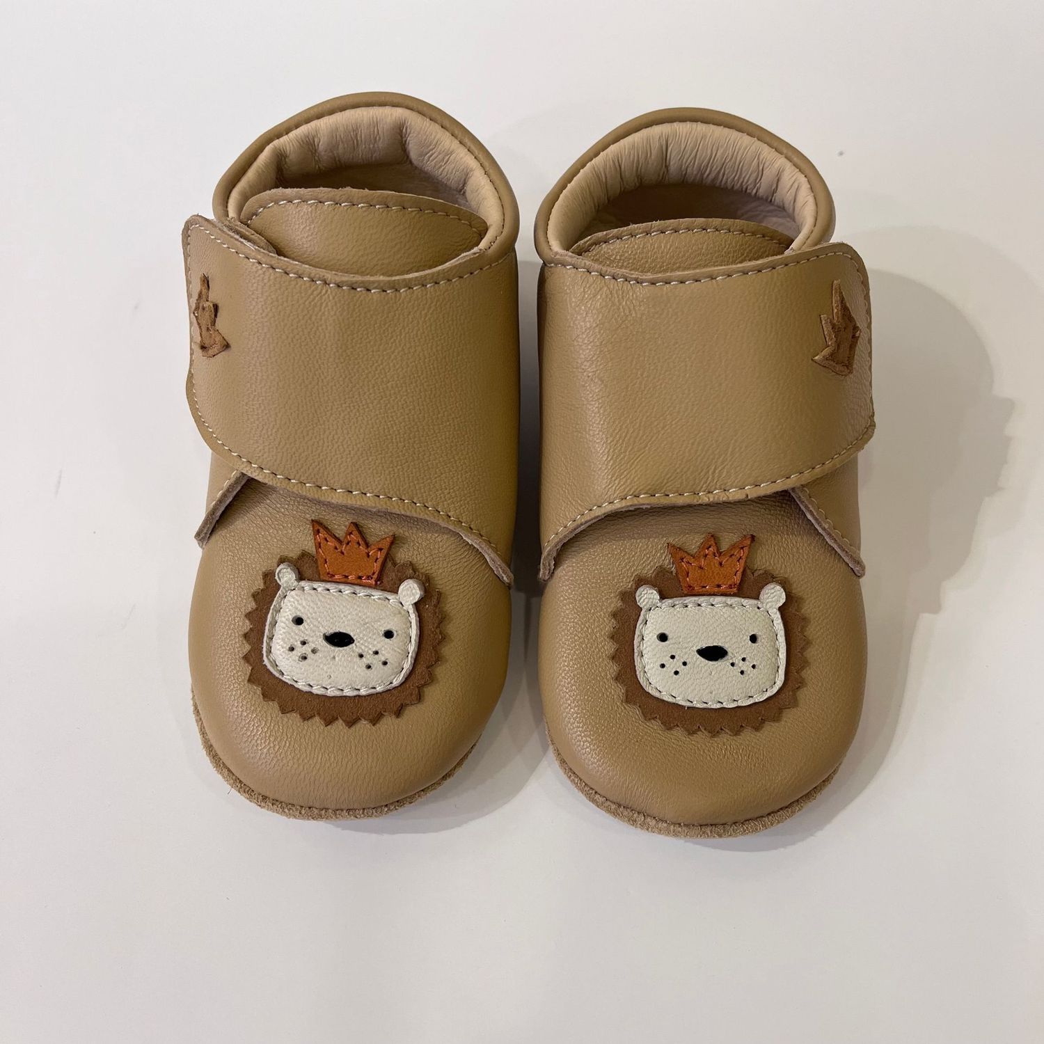 Lion Camel Bellamy