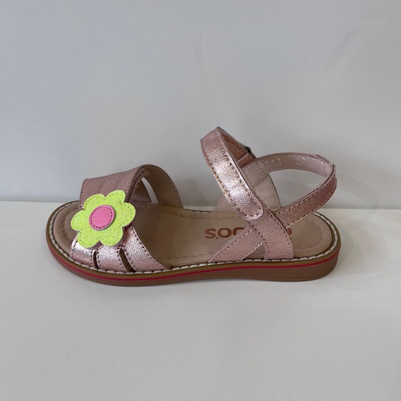 6113 Rose Marguerite Acebos