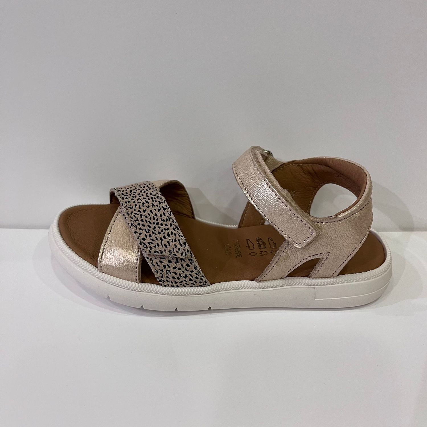 Evi Doré/Léopard Bellamy